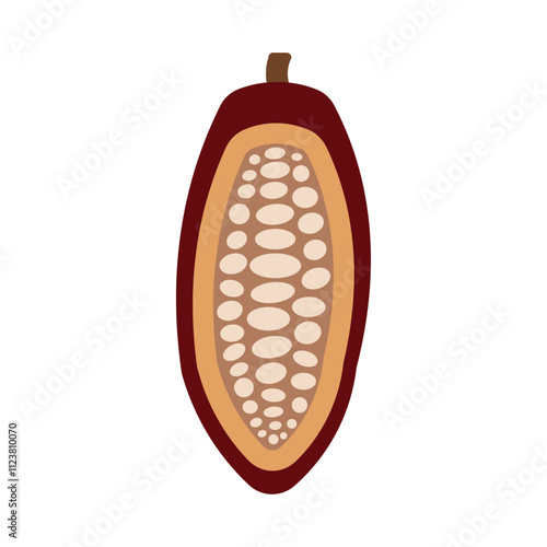 Cocoa beans isolated on a white background vector illustration. Cocoa pod. Fresh cocoa fruit. half sliced cacao pod with cacao beans inside. Colorful logo. EPS 10  photo