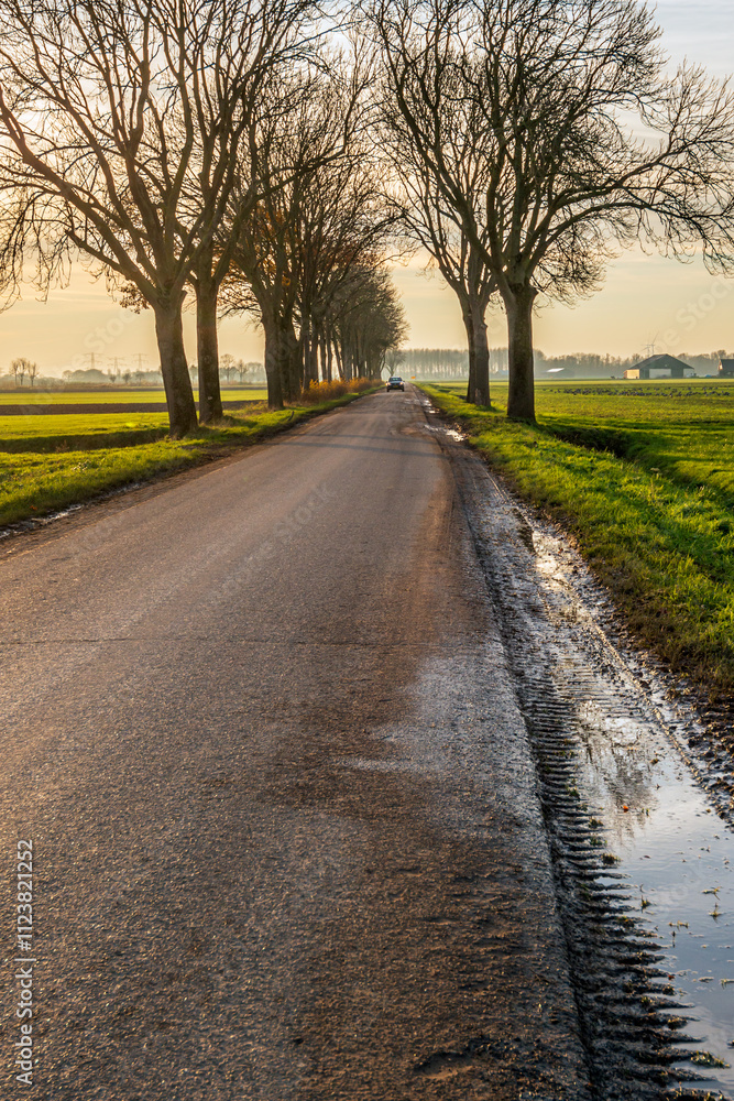Long straight dirt road with a puddle of water and mud in the verge. At the end of the road a car approaches with the lights on. The photo was taken in a Dutch polder at the end of a sunny afternoon.