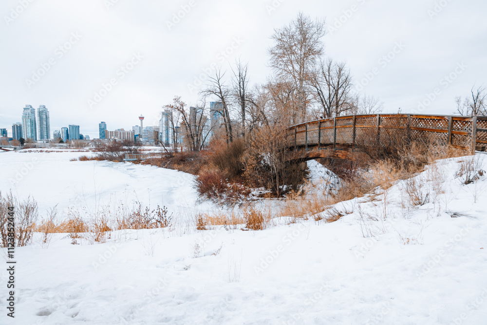 Fototapeta premium Snowy view of Calgary downtown on a cold winter day