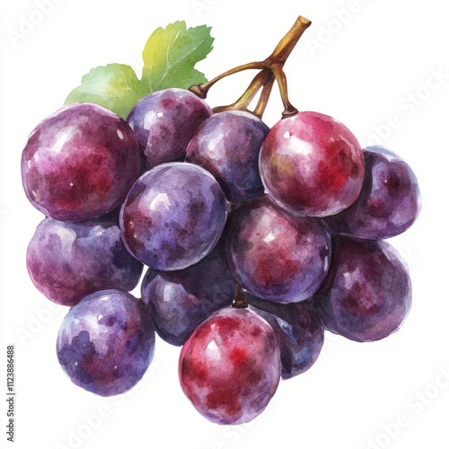 Watercolor Painting of a Bunch of Red Grapes