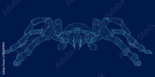Tarantula spider blue vector wireframe scary Halloween. Front view