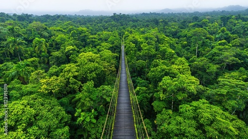 Aerial view of a lush green rainforest with a wooden bridge traversing through the treetops.