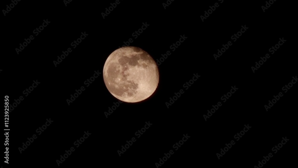 Fototapeta premium LUNA