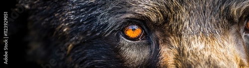 Wallpaper Mural Grizzly Bear Eye Fur Close Up Detail Torontodigital.ca