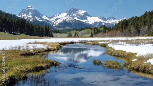Snowy Mountain View with Reflections in Stream Grand Teton National Park Nature Landscape Photography Clear Blue Sky Tranquil Scene