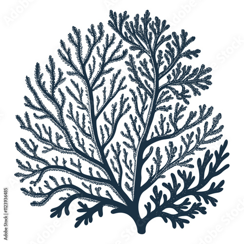 Detailed Illustration of a Sea Fan Coral