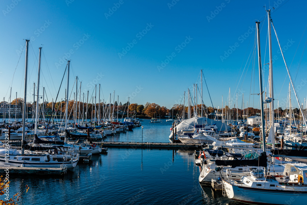 Fototapeta premium A large number of boats are docked in a marina