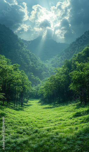 Green grassland, the ground is flat and sunny photo