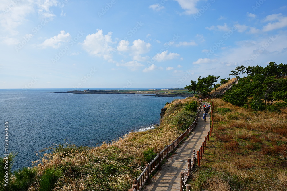 Fototapeta premium fine walkway at seaside cliff