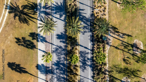 Foto Drone photos, aerial image, of a street lined with tall palm trees on both sides