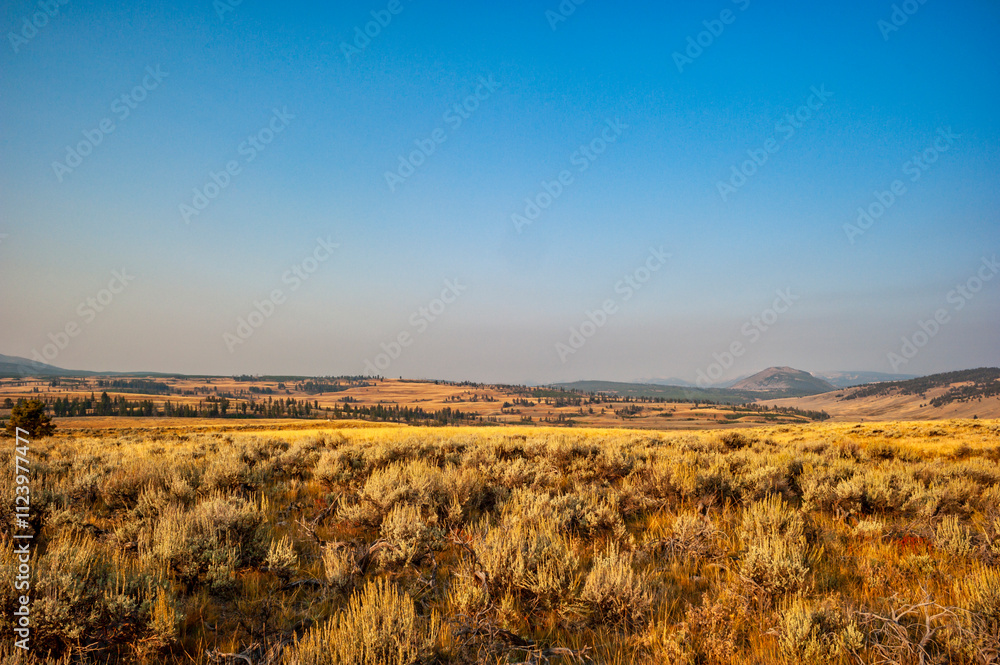 Fototapeta premium Smoky Horizon Over Golden Prairie in Yellowstone with Copy-Space