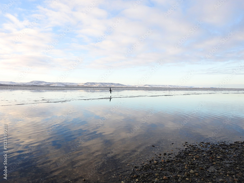 Fototapeta premium fotos varias