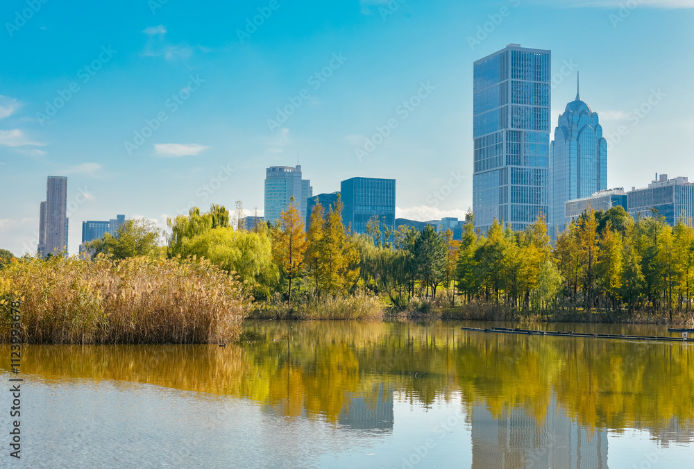 Obraz premium Beautiful landscape of golden autumn season at Yinzhou Park, with background of modern buildings of Southern Business District (Ningbo CBD) in Ningbo, Ningbo, Zhejiang, China