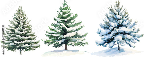 watercolor illustration of pine trees with snow