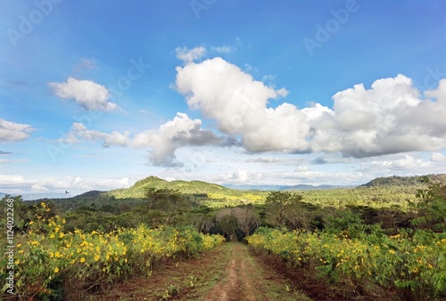 Beautiful landscape with mountains view, Thailand 