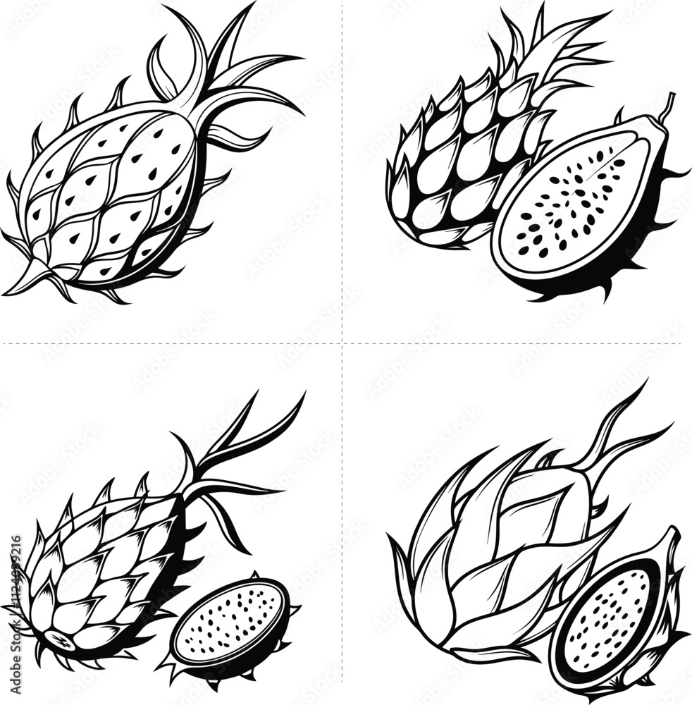 Fototapeta premium Four Black and White Stylized Dragon Fruit Silhouettes Vector Illustrations Depicting Whole and Halved Views Featuring Intricate Line Art