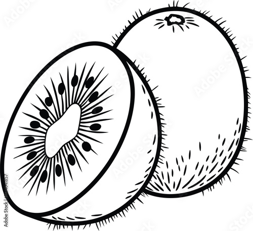 Line art Illustration resembling Fuzzy kiwifruit silhouette with whole Fuzzy kiwifruit and cross section showing its interior with seeds