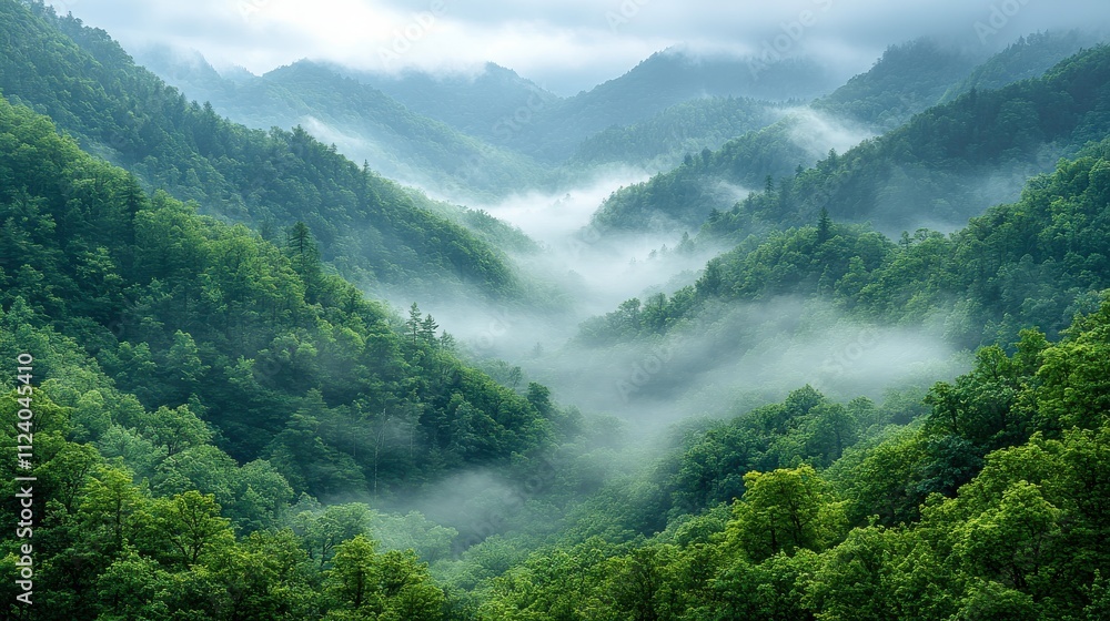 Obraz premium A misty valley surrounded by lush green mountains, creating a serene and tranquil landscape.