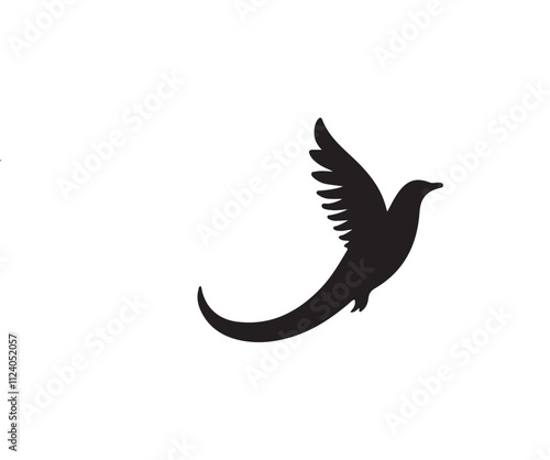 dove isolated on white