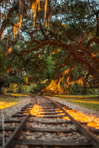 New Orleans City Park during sunset red train trough Spanish moss