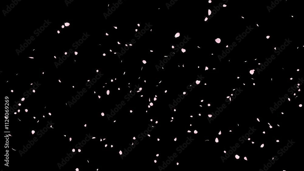 Cherry Blossom Petals Falling Loop on Alpha Channel. 3D rendering. Cherry blossom petal falling with alpha channel you can place on footage or background and easier to change colour on seamless loop.
Cherry Blossom Petals Falling Loop on Alpha Channel. 3D rendering. Cherry blossom petal falling with alpha channel you can place on footage or background and easier to change colour on seamless loop.