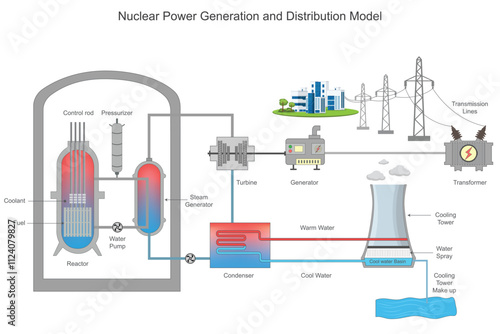 Nuclear power uses uranium or plutonium for fission, generating heat to produce steam. This drives turbines, generating electricity, which is distributed through extensive power grids efficiently.