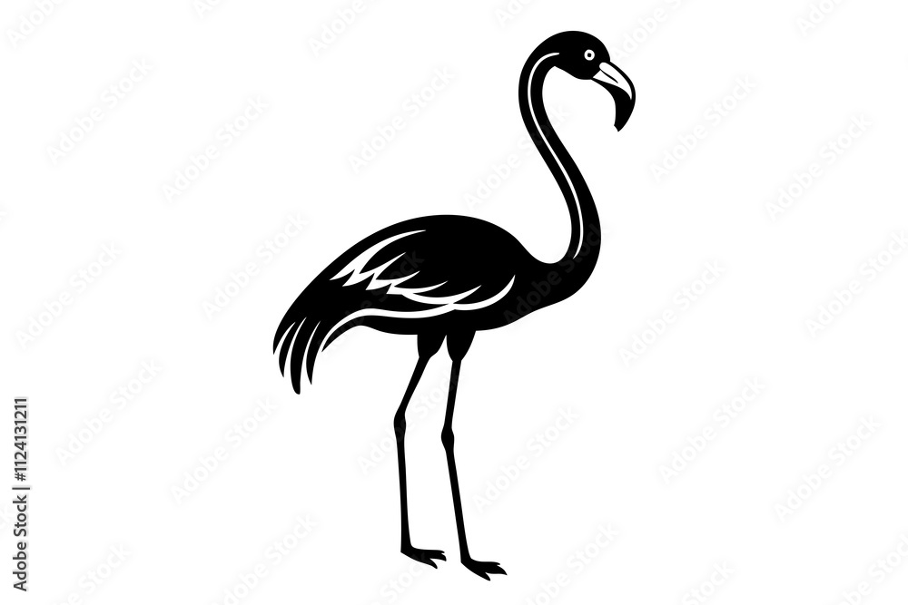 Flamingo Vector Illustration and Line Art for Print Design Flamingo Vector Illustration and Line Art for Print Design