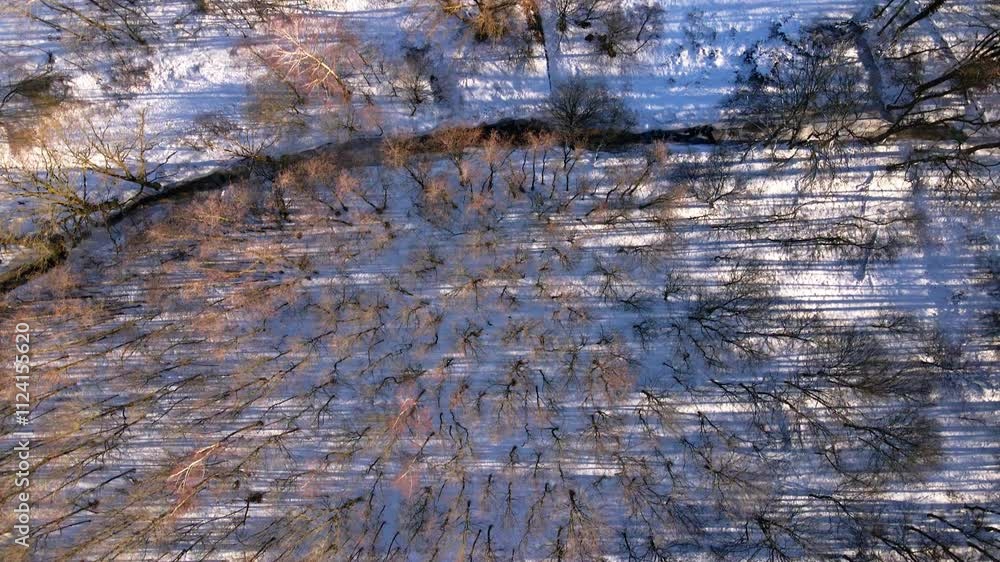 Drone shot of a forest with a river in the winter in the Netherlands Drone shot of a forest with a river in the winter in the Netherlands
