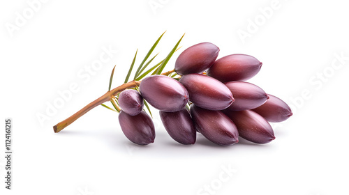 A bunch of ripe Saw Palmetto fruits presented against a white background. Saw Palmetto on White Background. Concept Product Photography