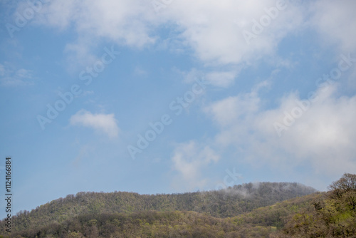 Sky background with clouds. White clouds against a blue sky.