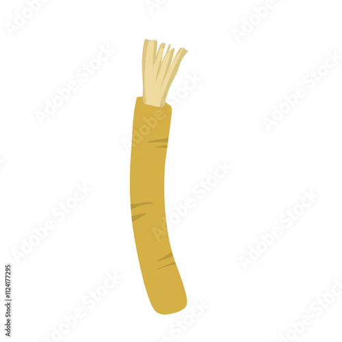 Siwak or miswak organic toothbrush