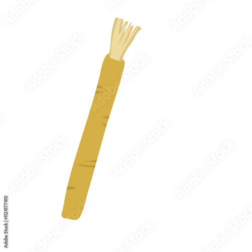 Siwak or miswak organic toothbrush photo