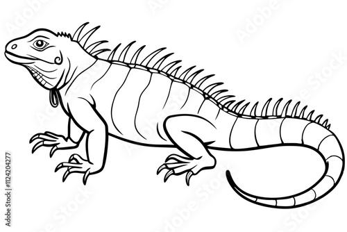 Line art of an iguana. Vector illustration 