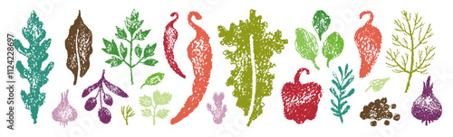 Spice vector. Sketch crayon vegetable illustration. Food and herb, ginger parsley rosemary basil garlic paprika pepper arugula olive doodle icon. Spice watercolor or crayon leaf. Hand drawn background