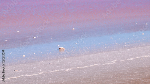 Bands of blue and pink water with a salty shoreline and salt encrusted stones in a pink lake called Lake Bumbunga at Lochiel in South Australia, with the pink caused by a certain kind of algae.
 photo