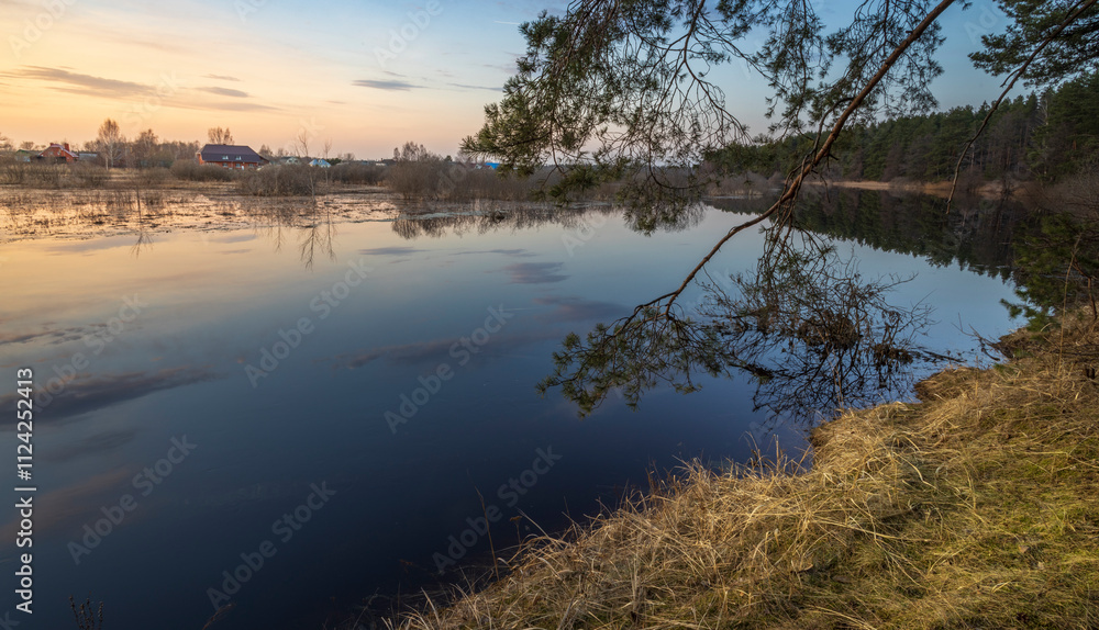 Obraz premium Calm lake with a tree branch in the water