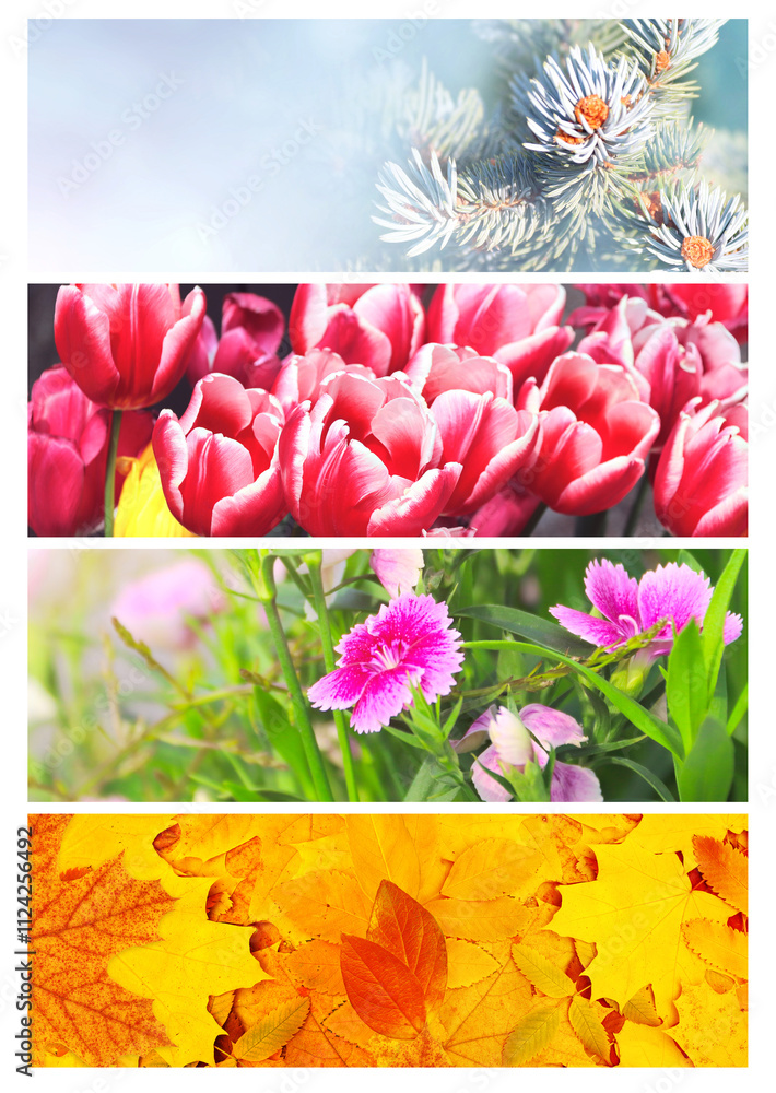 Obraz premium Four seasons of year. Set of horizontal nature banners with winter, spring, summer and autumn scenes. Nature collage with seasonal scenics. Copy space for text