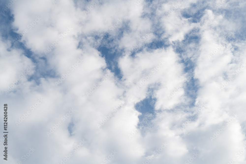 Obraz premium 見上げると綺麗な空