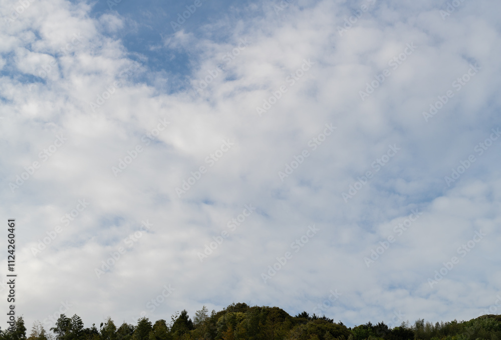 Fototapeta premium 見上げると綺麗な空
