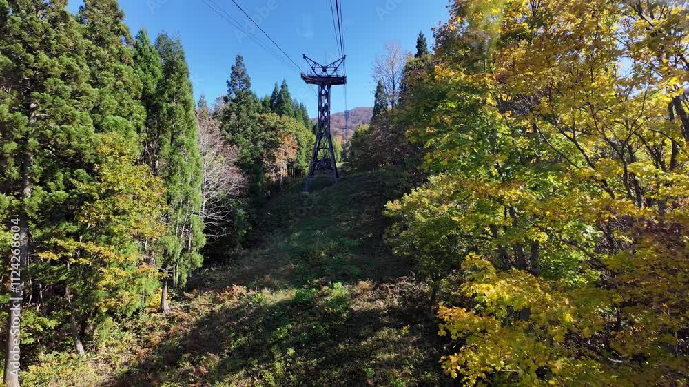 Zao mountain Yamagata Japan, Cable car ropeway amidst colorful autumn trees. Zao mountain Yamagata Japan, Cable car ropeway amidst colorful autumn trees.