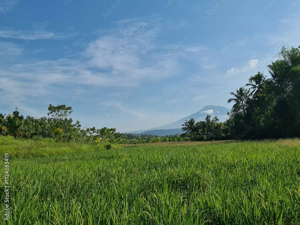 A picturesque view of a traditional Balinese rice paddy, showcasing the harmony between nature and agriculture, with a majestic mountain as a backdrop A picturesque view of a traditional Balinese rice paddy, showcasing the harmony between nature and agriculture, with a majestic mountain as a backdrop