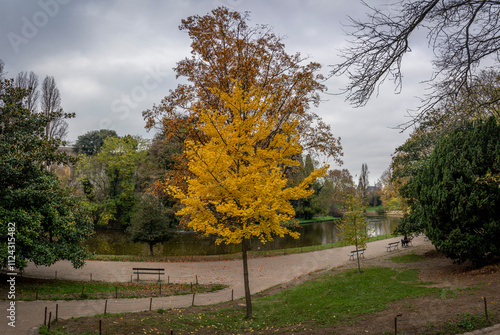 Paris, France - 11 16 2024: Park Buttes Chaumont. Panoramic view of remarkable trees and vegetation with fall colors.