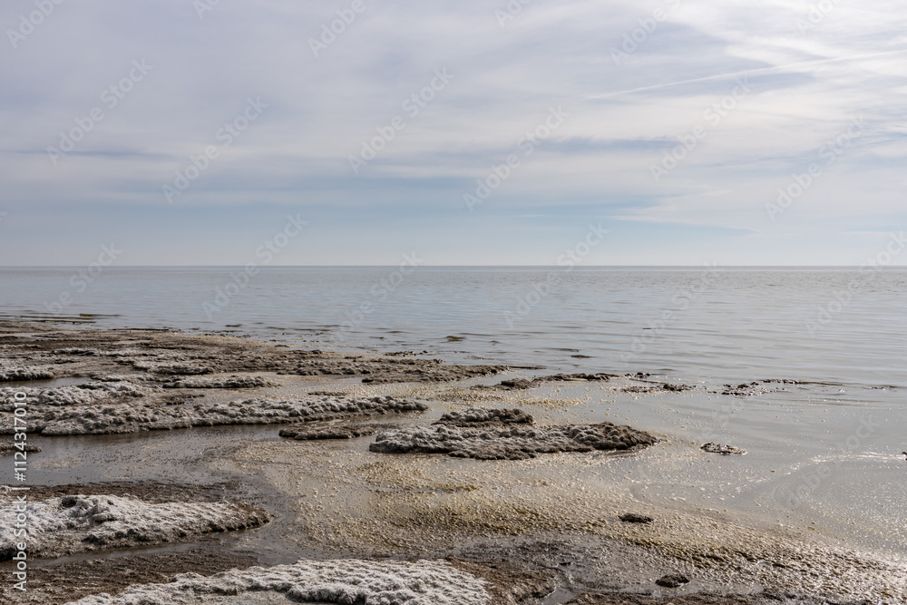 Fototapeta premium Bombay Beach,Imperial County, California, Salton Sea. lake beds, salt