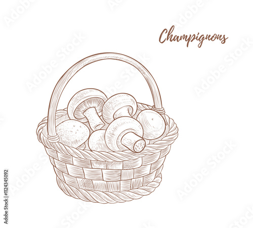 Vector basket with champignons line art illustration, graphic line mushrooms combination. Mushrooms for food. champignon. Great for any designs, textile, art, walls, package