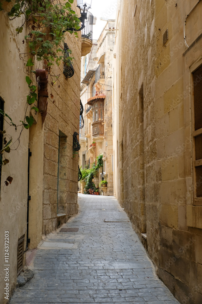 Obraz premium Victoria, Malta, 2024