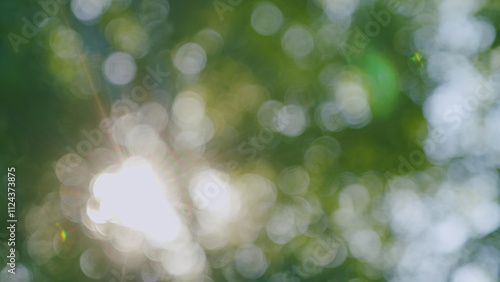 Sun Shines Through Leaves Of Tree. Fresh Green Forest Beautifully Illuminated By Warm Rays Of Summer Sun. Tree Tops With Branches And Green Leaves On A Background Of Blue Sky. Bokeh.