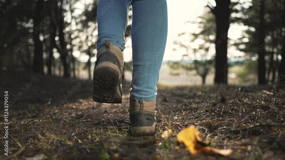 woman feet walk along forest path peaceful nature stroll. Feet moving through forest calm walking experience. Journey of woman feet on woodland trail. Nature walk captured woman feet treading gently. woman feet walk along forest path peaceful nature stroll. Feet moving through forest calm walking experience. Journey of woman feet on woodland trail. Nature walk captured woman feet treading gently.