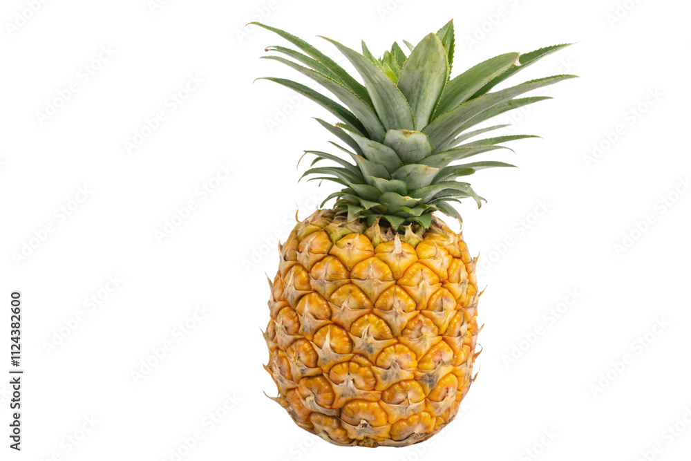 A full pineapple in perfect ripeness, its golden skin textured with sharp patterns, and topped by a lush crown of deep green leaves, isolated on a transparent background A full pineapple in perfect ripeness, its golden skin textured with sharp patterns, and topped by a lush crown of deep green leaves, isolated on a transparent background