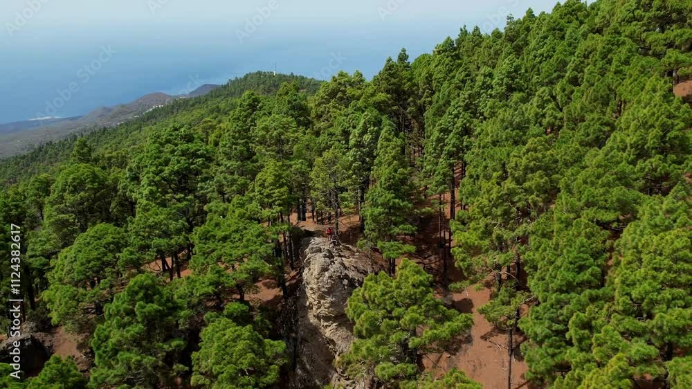Aerial drone view of the landscape of La Palma, Canary Islands, Spain