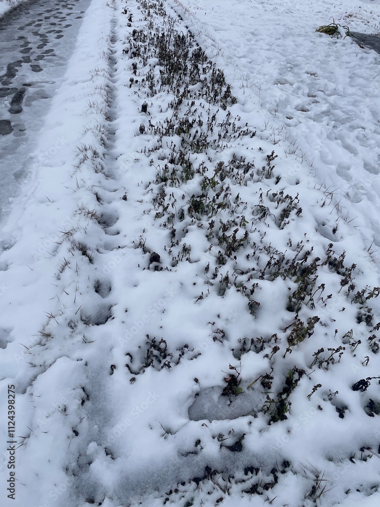 A winter road covered with snow, covered with frost, white snow A winter road covered with snow, covered with frost, white snow